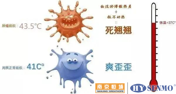 腫瘤細胞在39℃~40℃時，其活性受到抑制，又增加凋亡的趨勢……